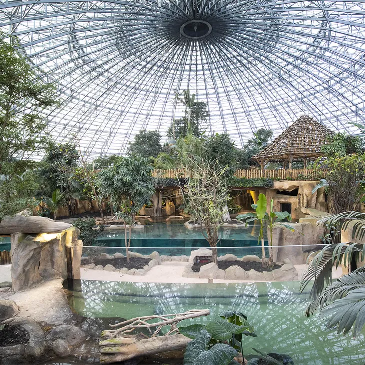 ZooParc de Beauval : organiser un week-end nature en famille